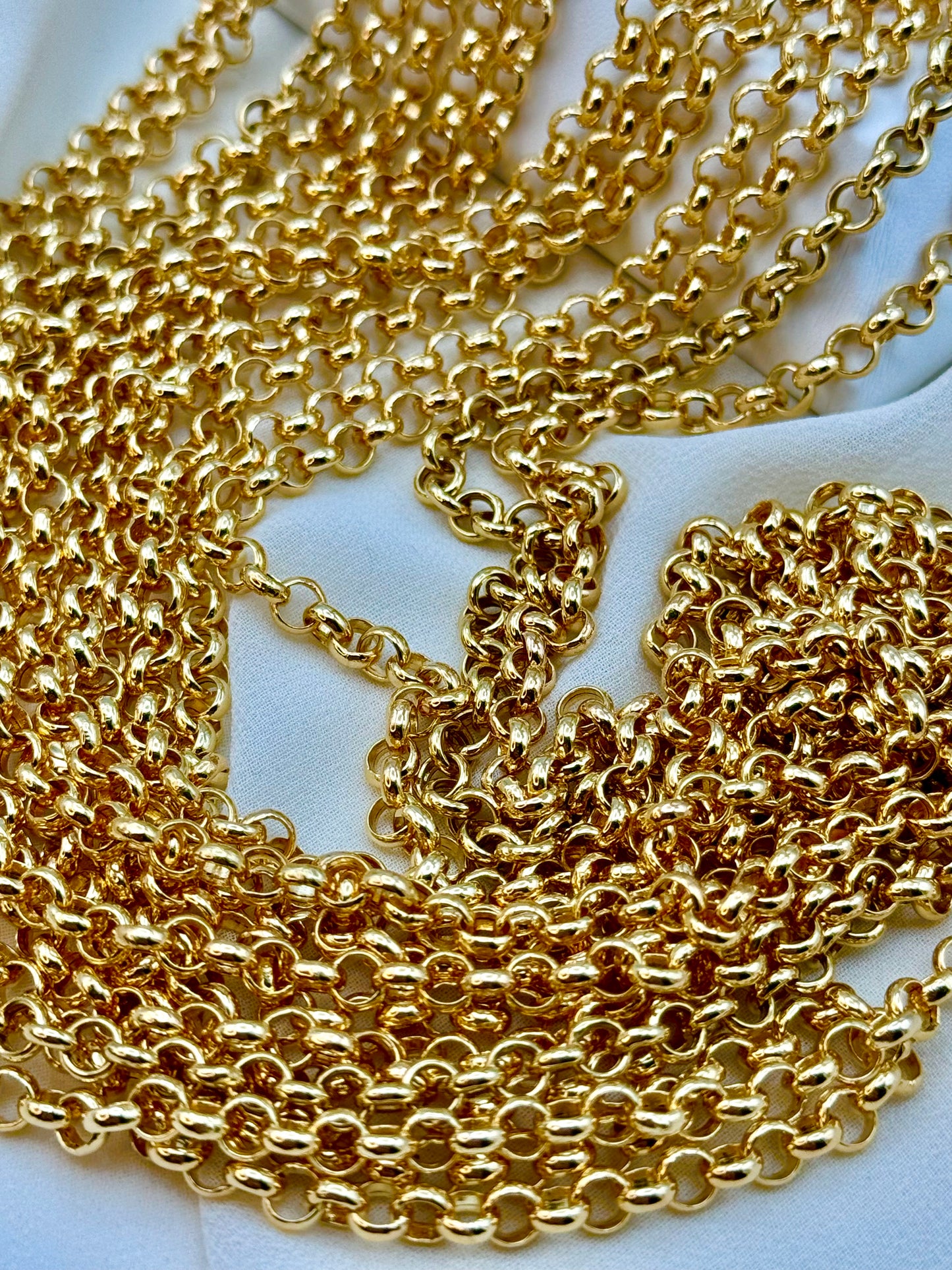 Rolo chain links .